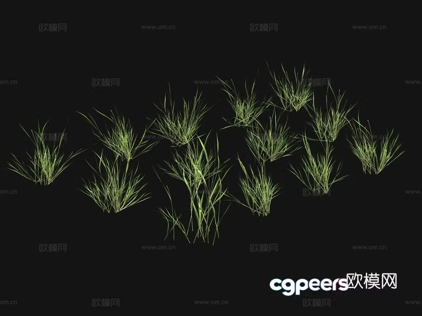 Grass seeds lawn 3d model