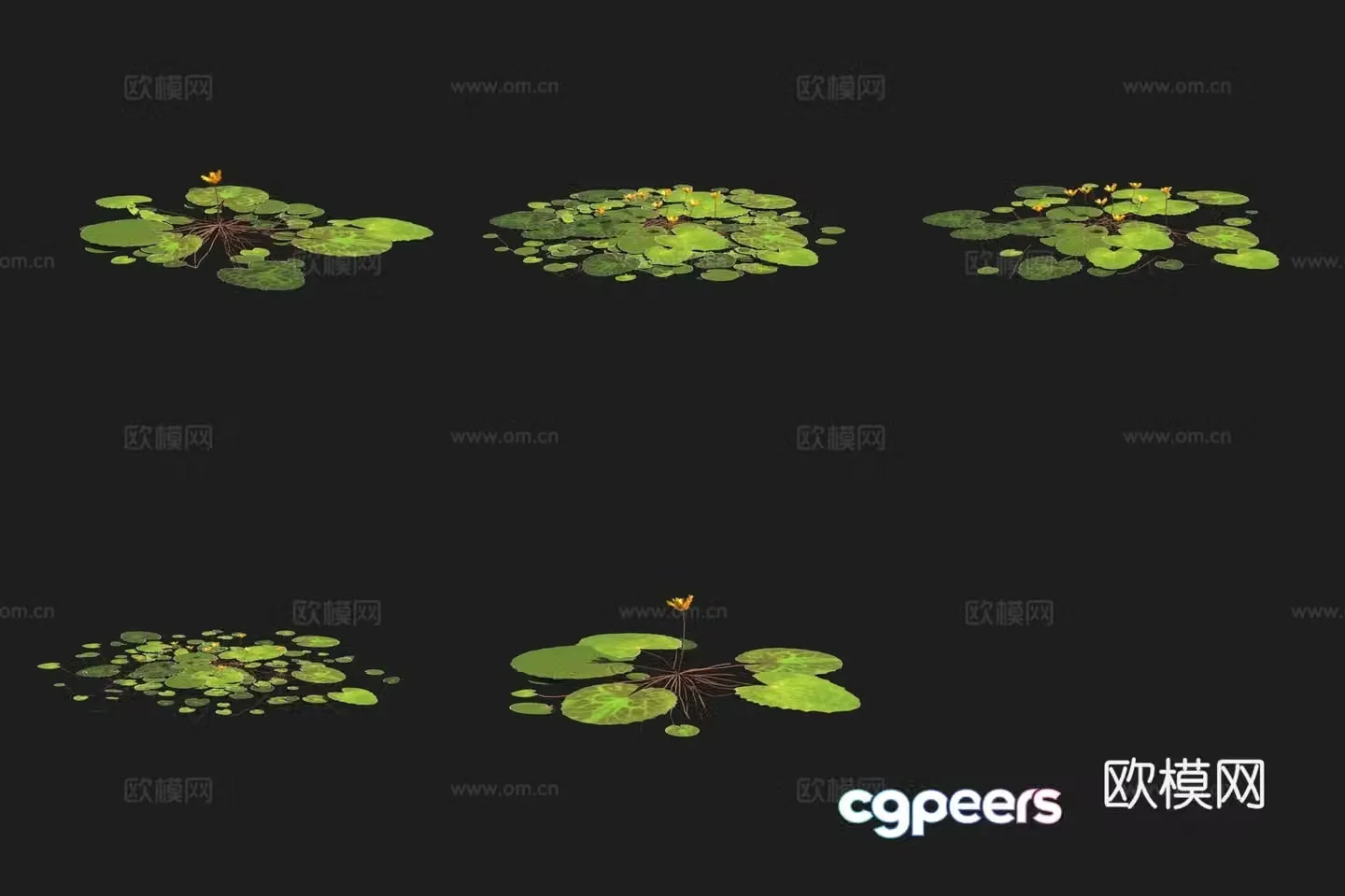 3D model of squid aquatic plants in wetland plants