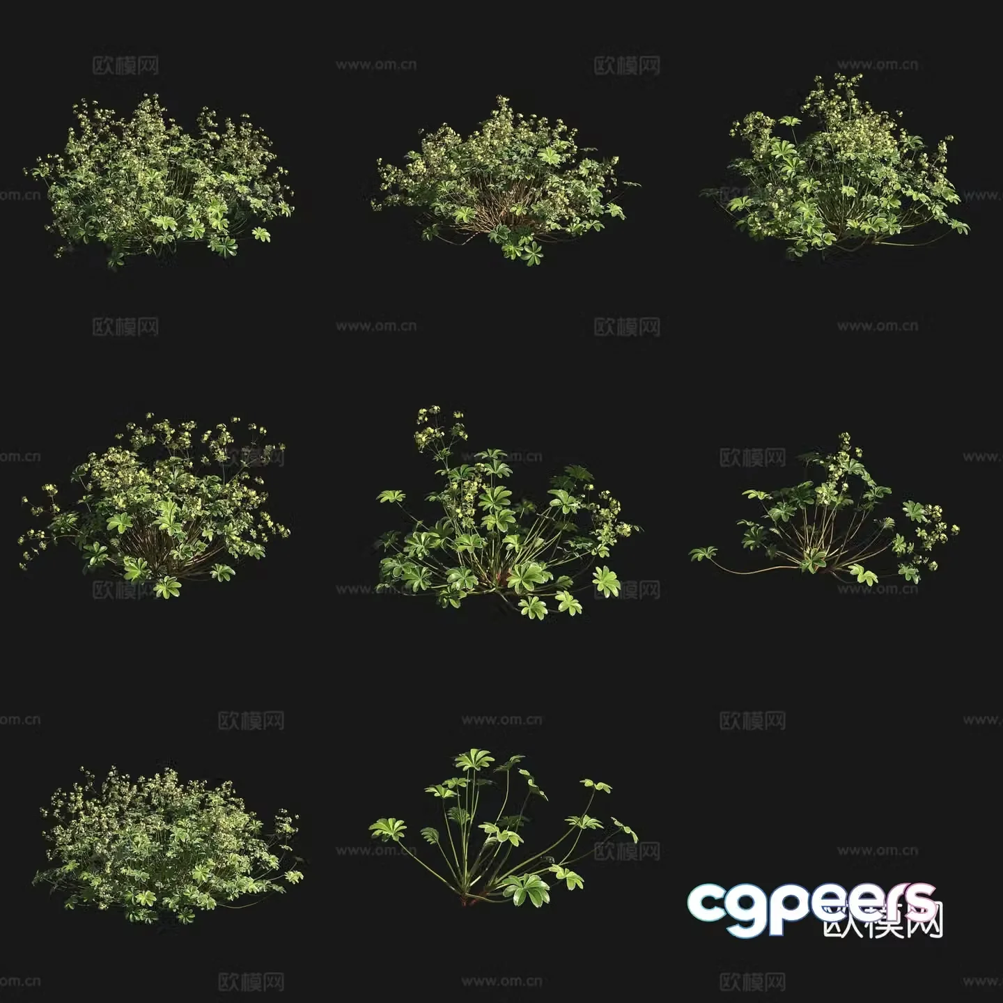 3D model of 3D