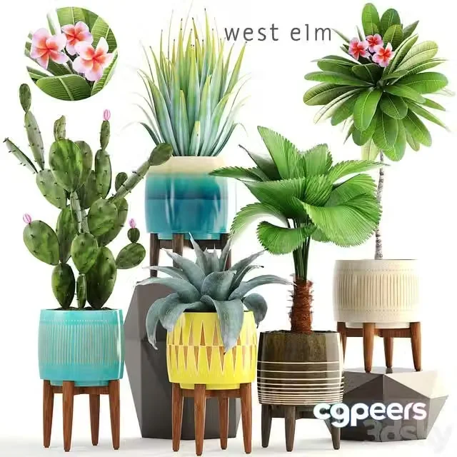 3ds Max Free – Collection of plants 179