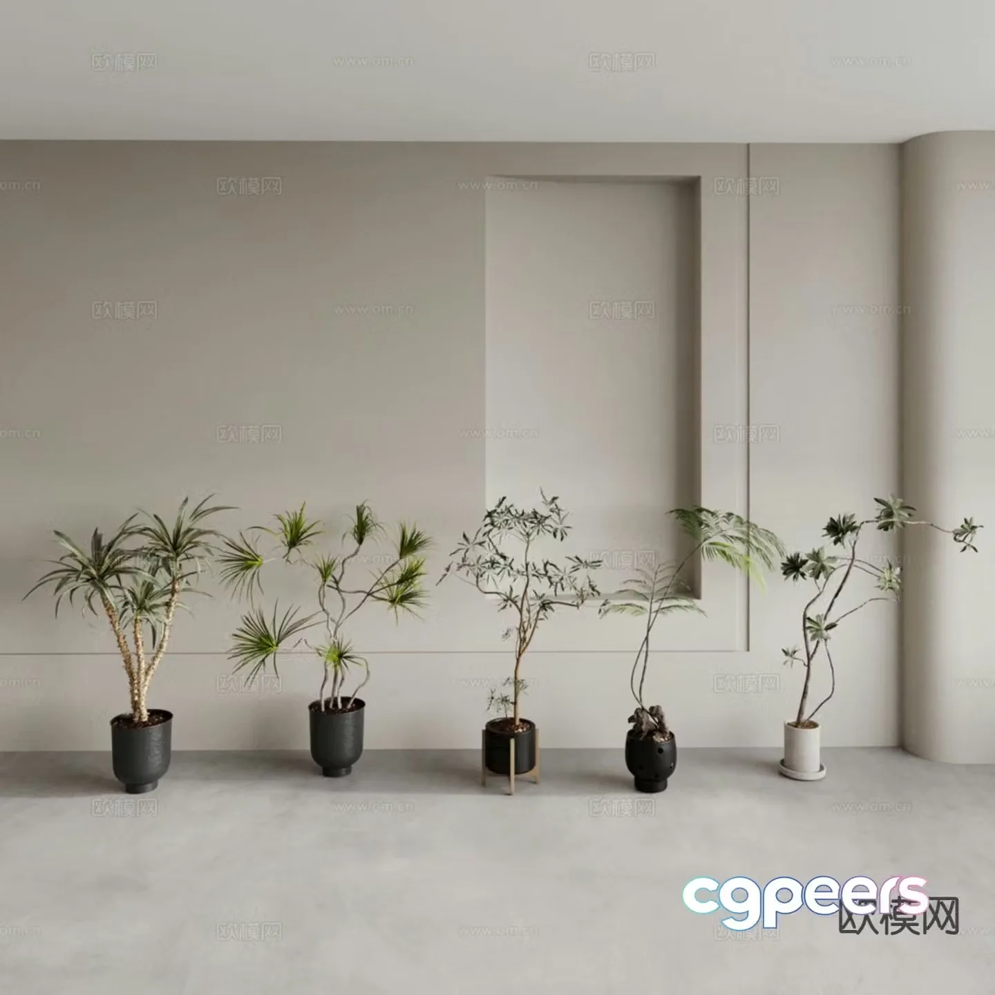 Large leaf potted plant Small leaf potted plant 3D model