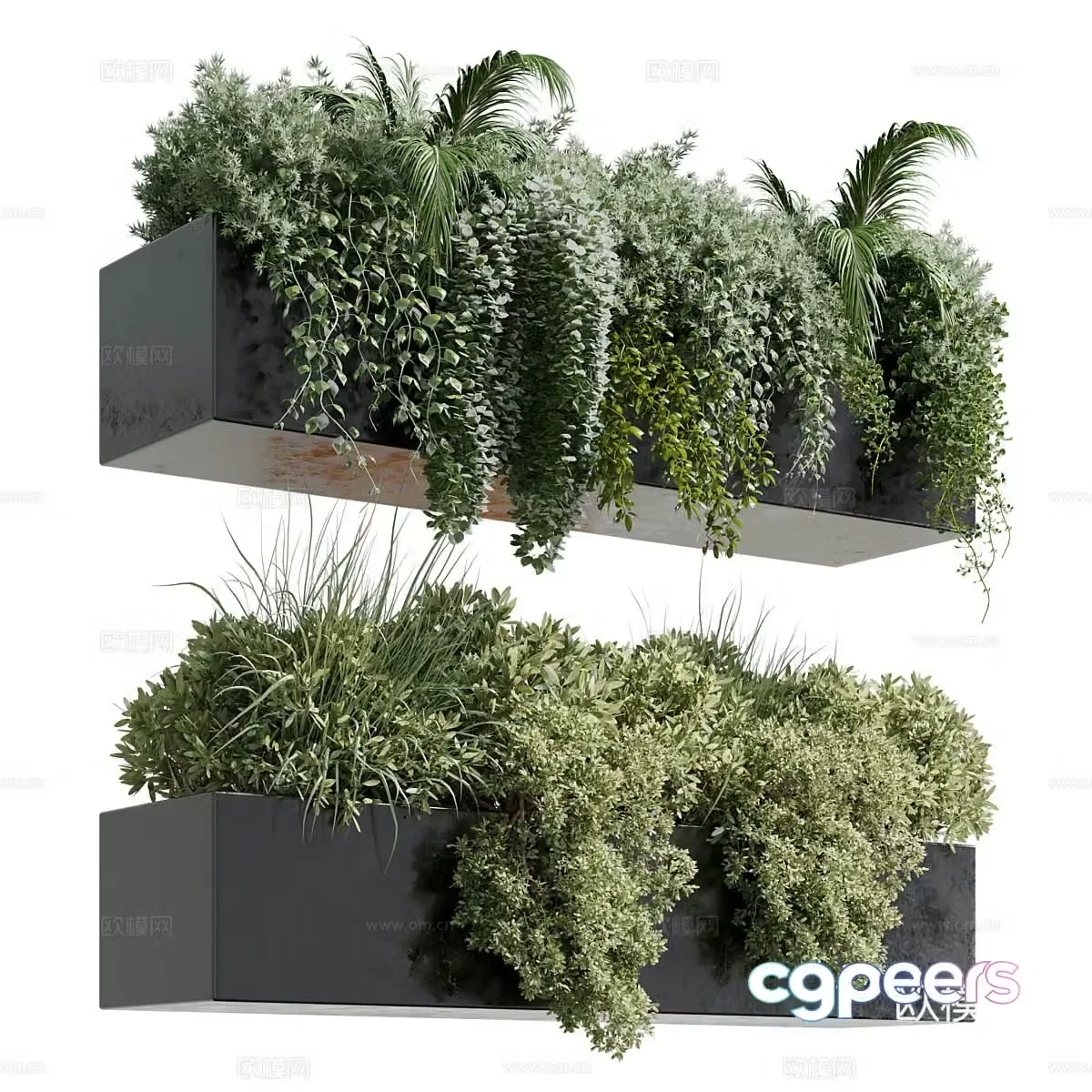 Hanging plant 3d model