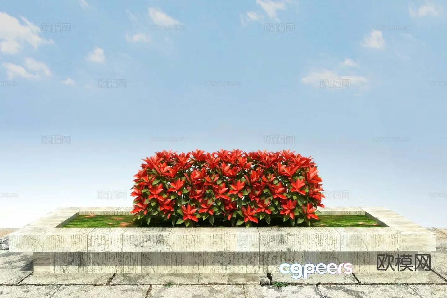 Shrub Red Leaf Hedge 3D Model