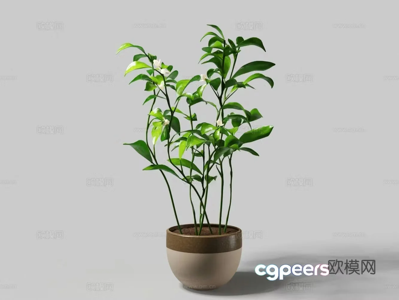 Modern clay flower pot green plant white flower fortune tree pot 3d model