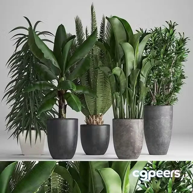 3ds Max Free – Plant collection 255