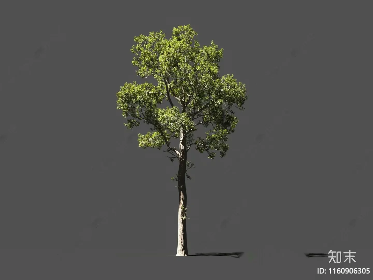 A Tree With Green Leaves 3D Model – 10838 – VRAY Render