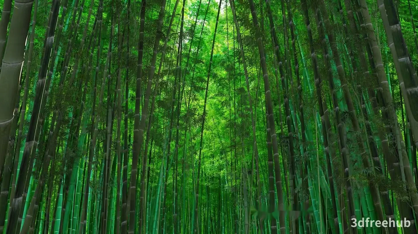 A Bamboo Forest With Green Stalks 3D Model – 22582 – VRAY Render