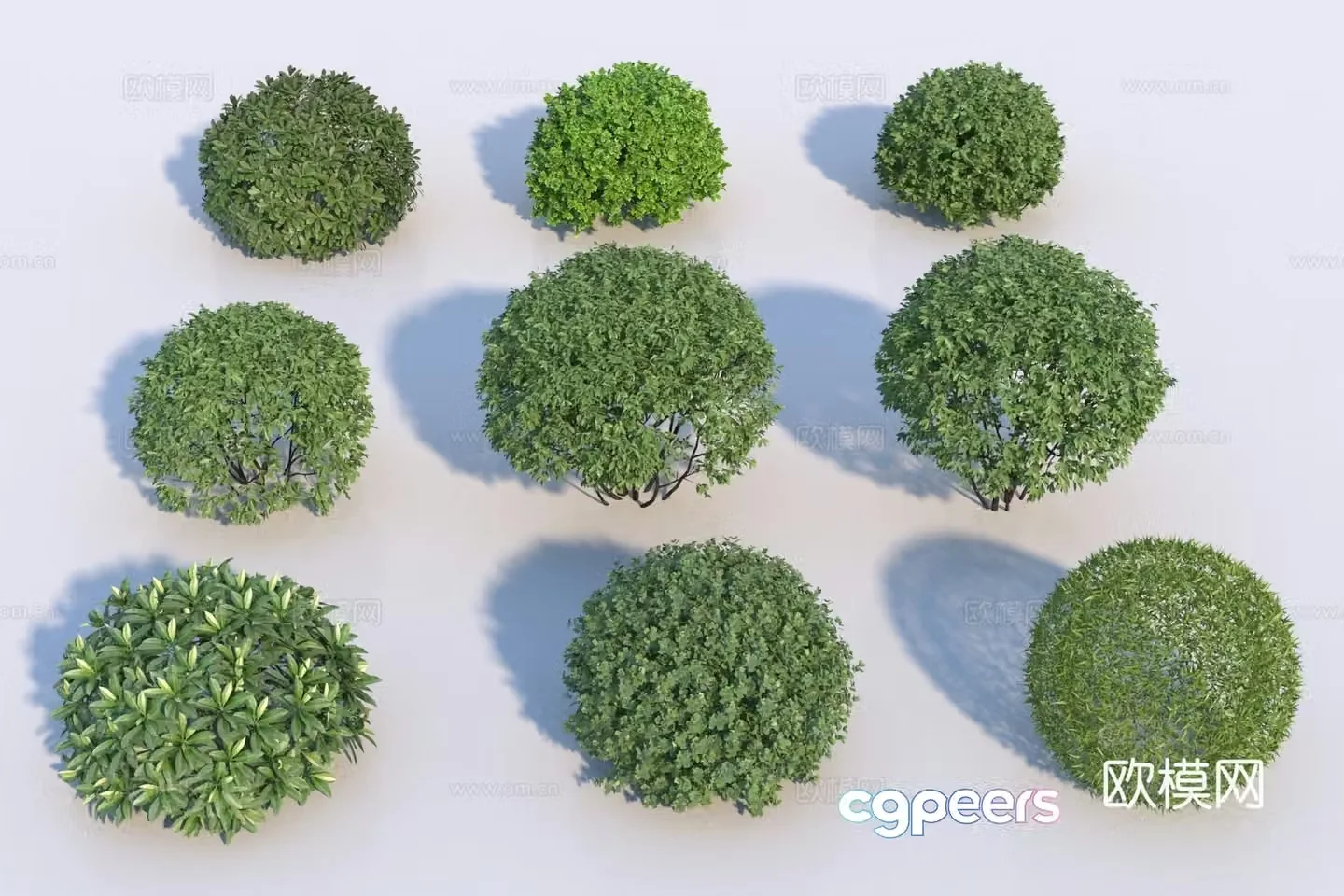 Modern spherical shrub combination 3D model