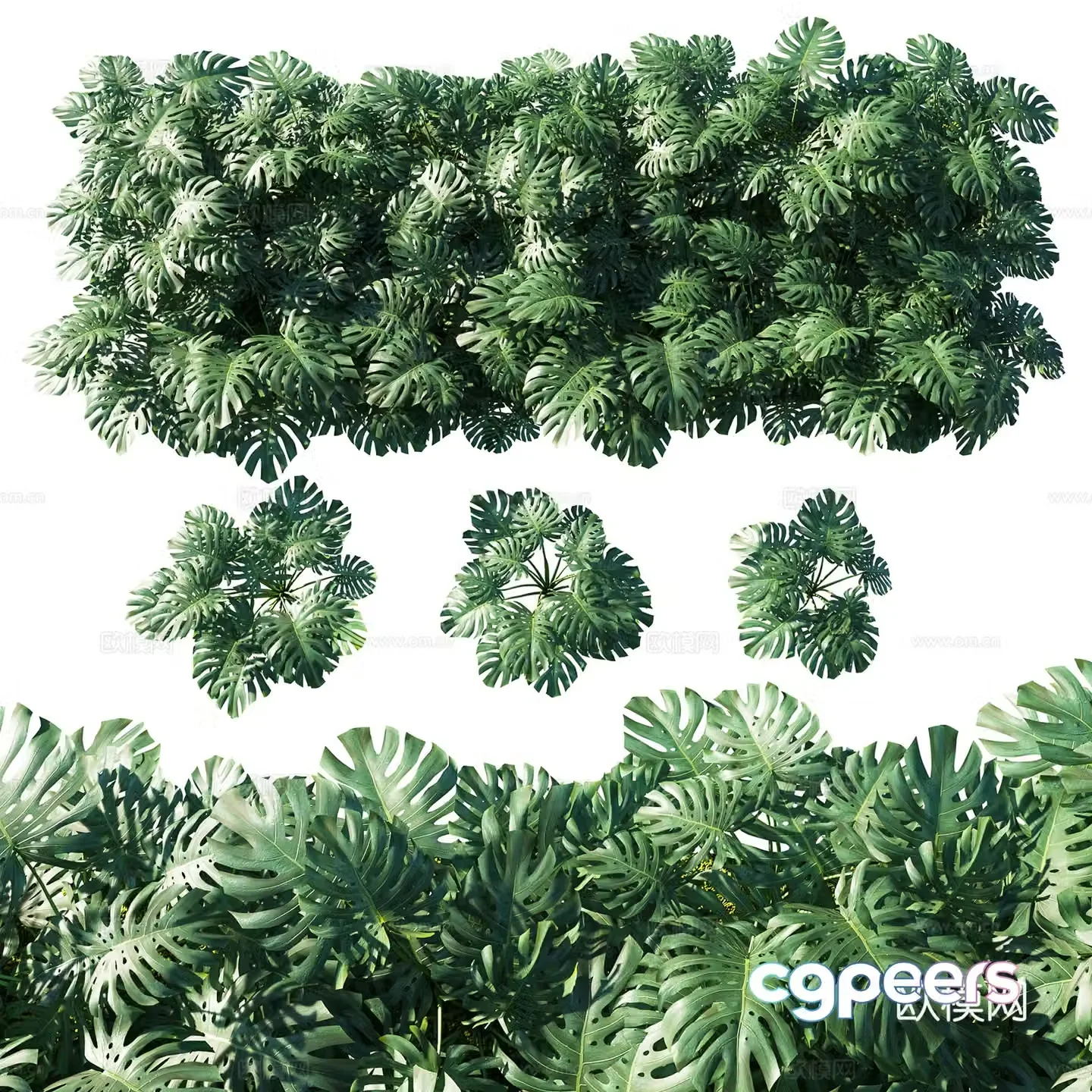 3D model of turtle back leaf wall decoration
