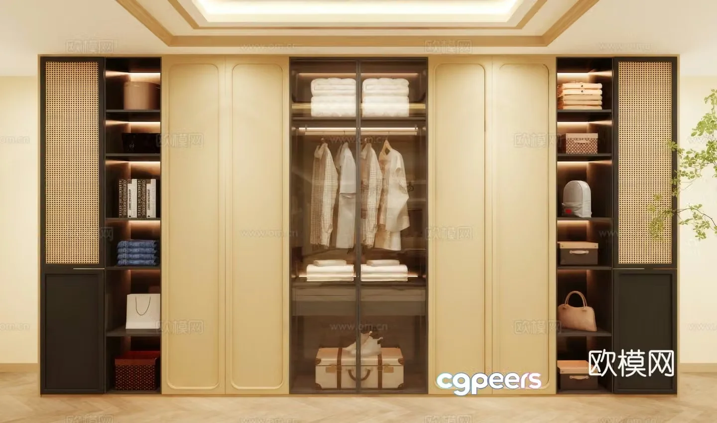 Wardrobe design Wardrobe renderings Wardrobe wardrobe design Wardrobe cabinet 3d model