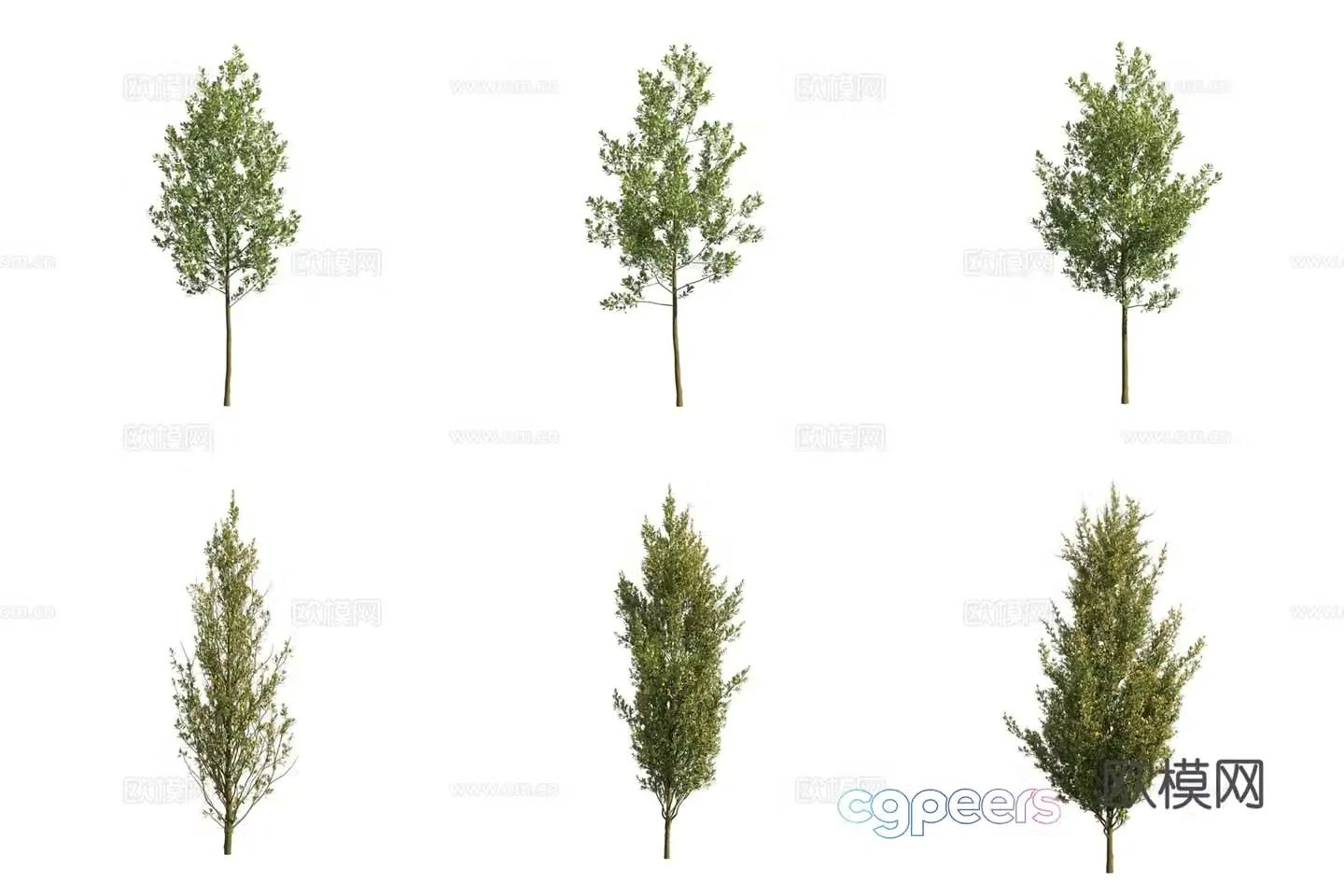 Summer oak landscape tree 3d model