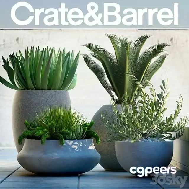 3ds Max Free – PLANTS 78 crate&barrel