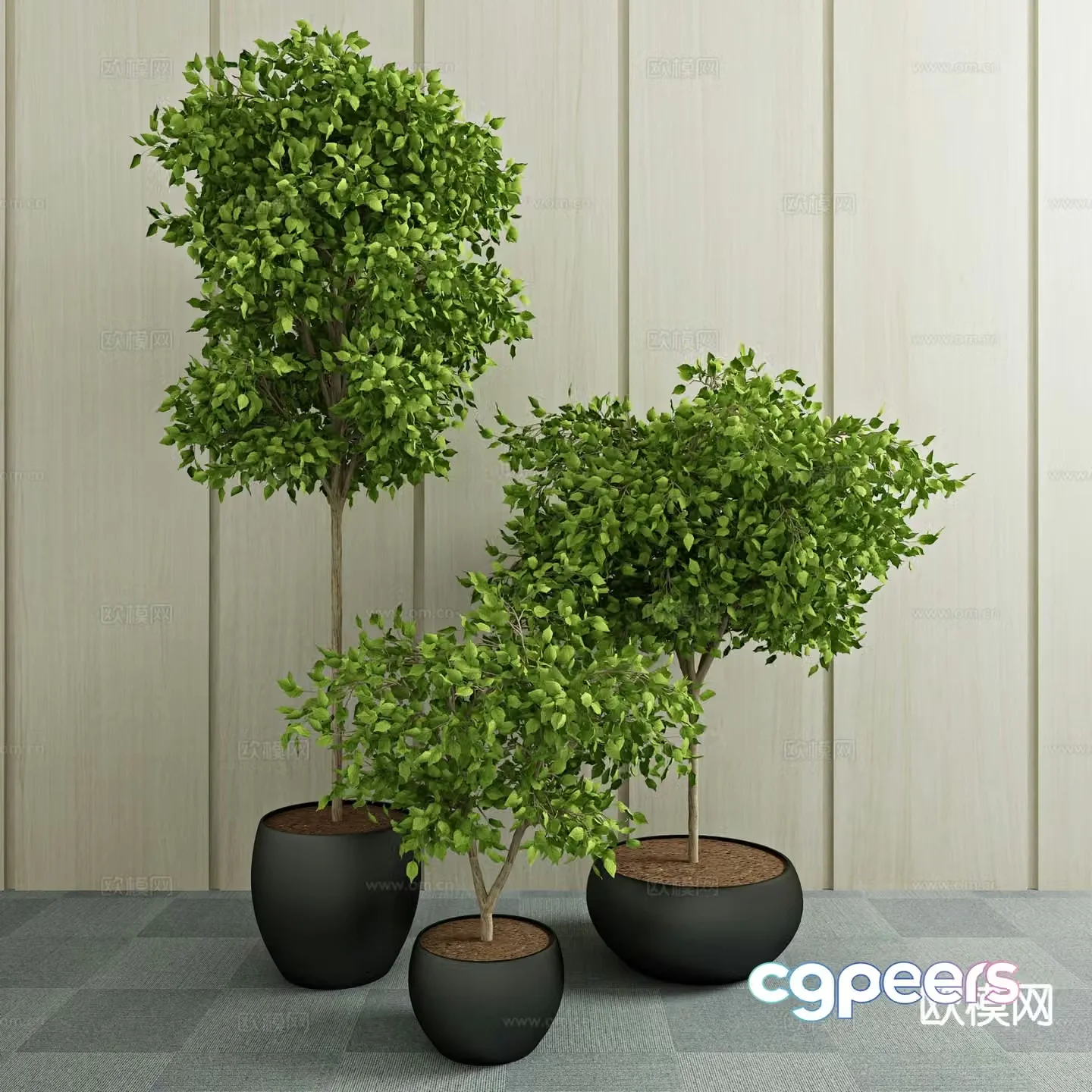 Green plant potted plant 3d model
