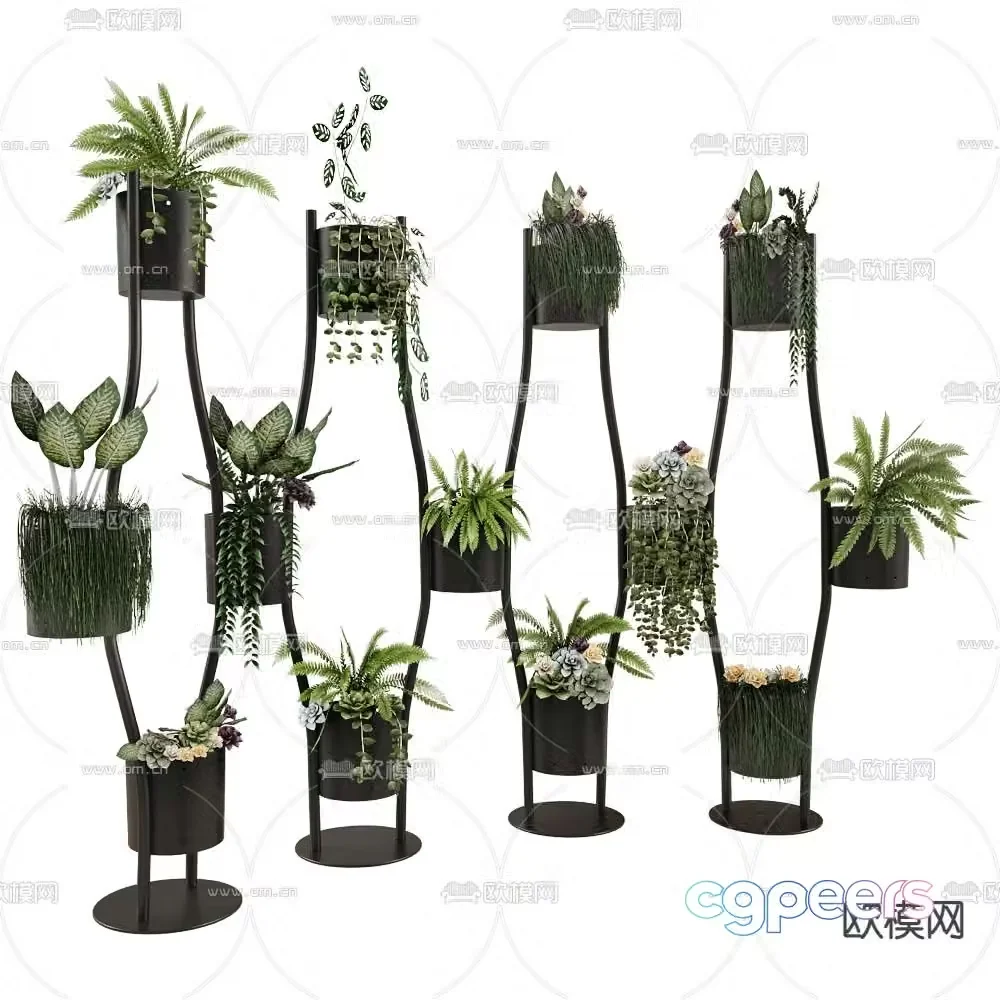 Ornamental plant potted 3D model