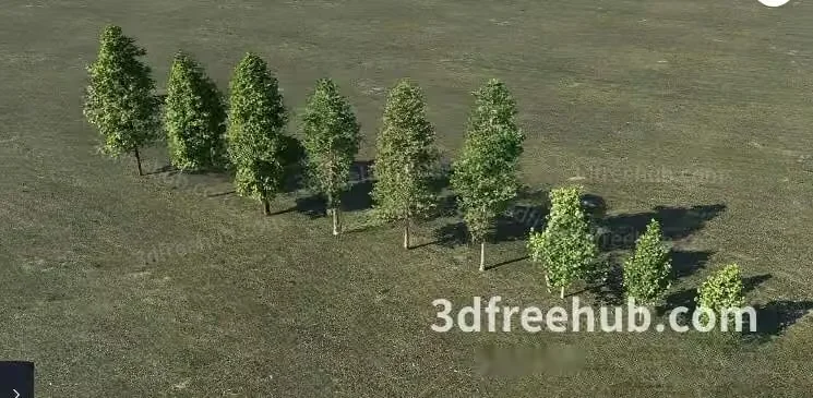 A 3D Rendering Of Trees In A Field 3D Model – 18573 – VRAY Render