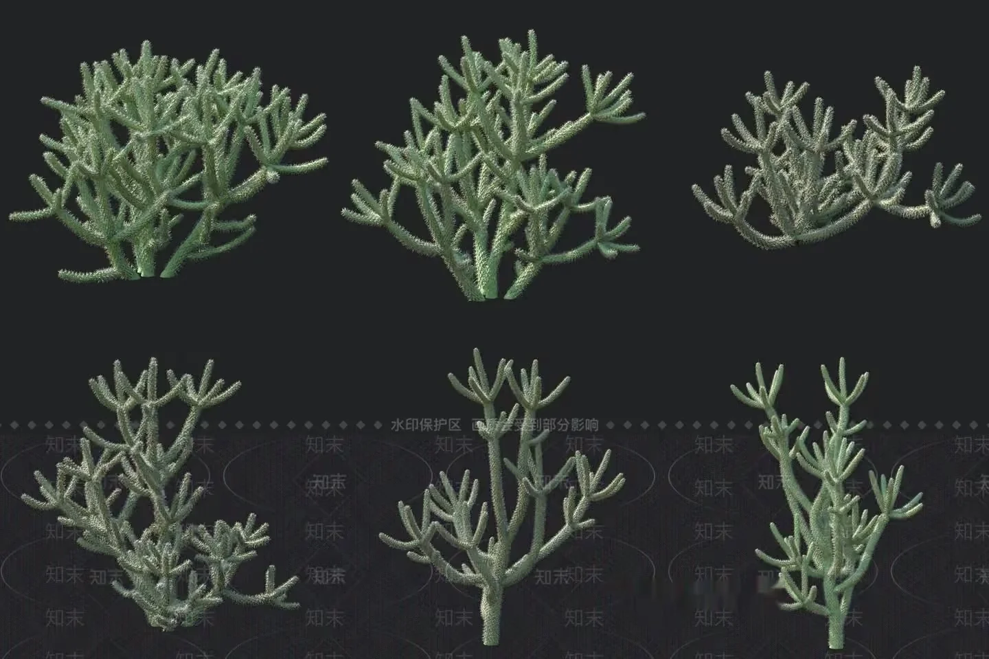 A Green Plant 3D Model – 16607 – VRAY Render