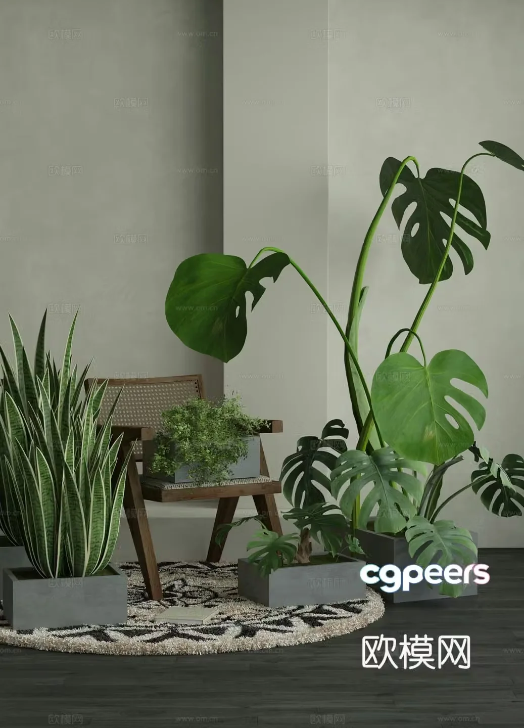 plant pot bonsai monstera 3d model