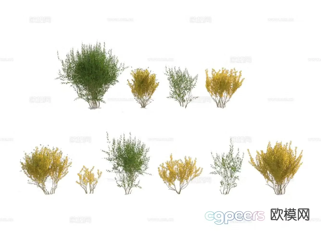 3d model of bush