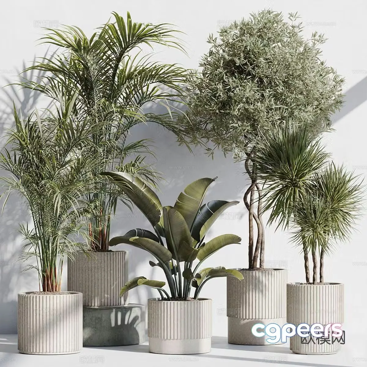 Green plant potted 3D model