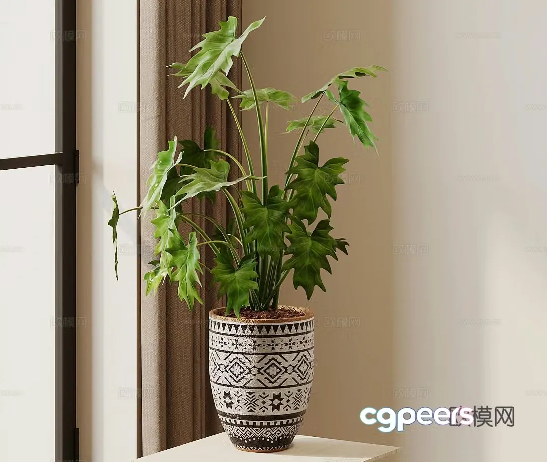 Potted plant Green ivy Aromatica 3D model