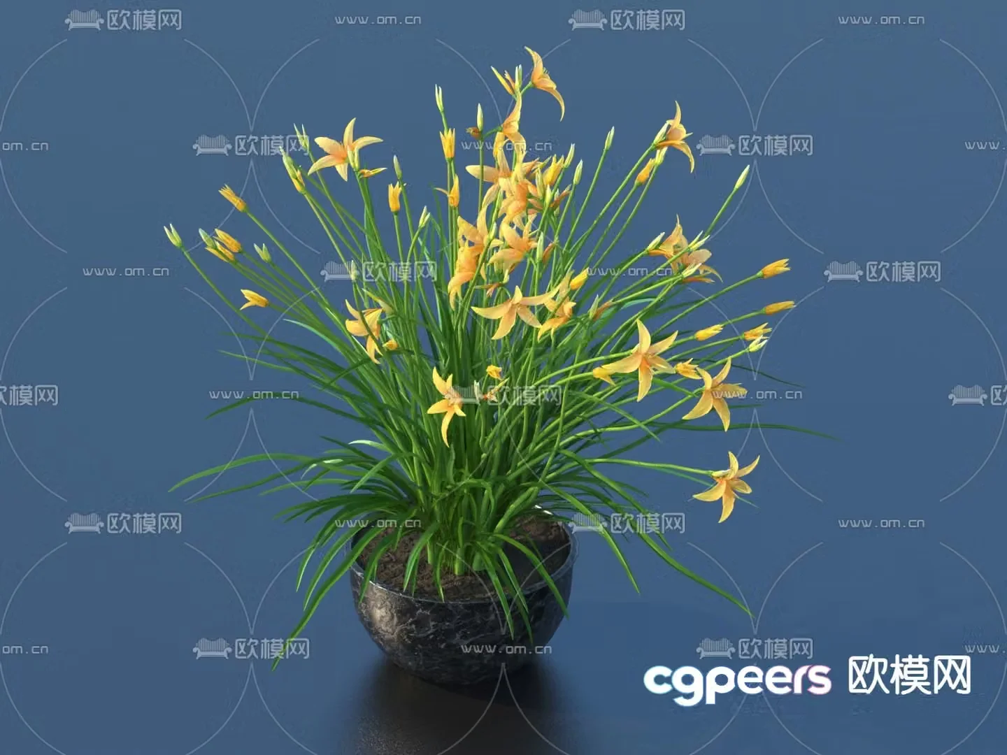 Flowerpot potted plant green plant 3d model