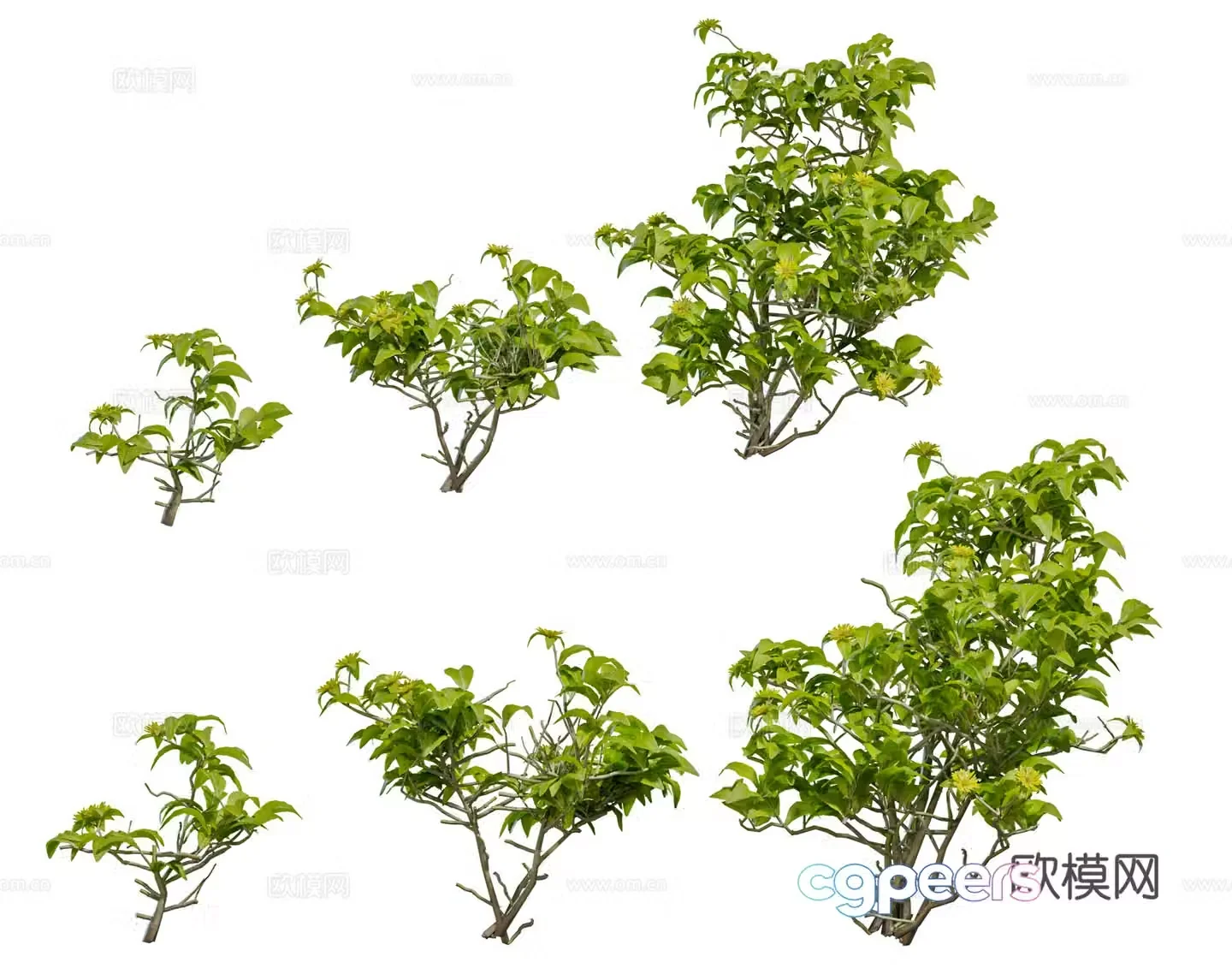 Modern shrub green plant combination Garden garden shrub Low shrub Small shrub 3d model
