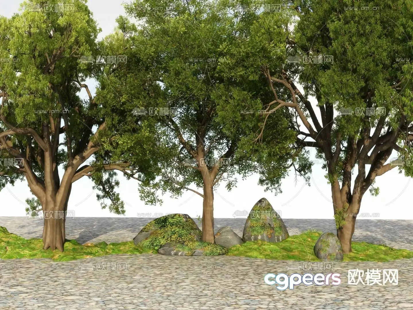 Big tree Landscape tree Street tree 3d model