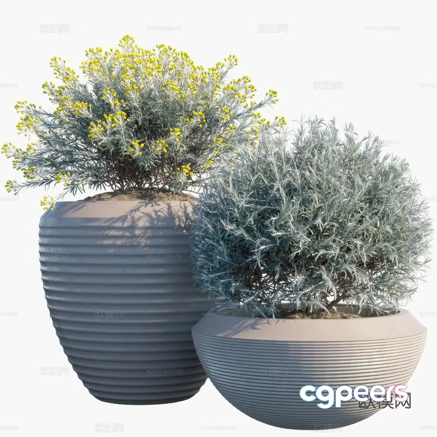 New Chinese green plant potted 3D model
