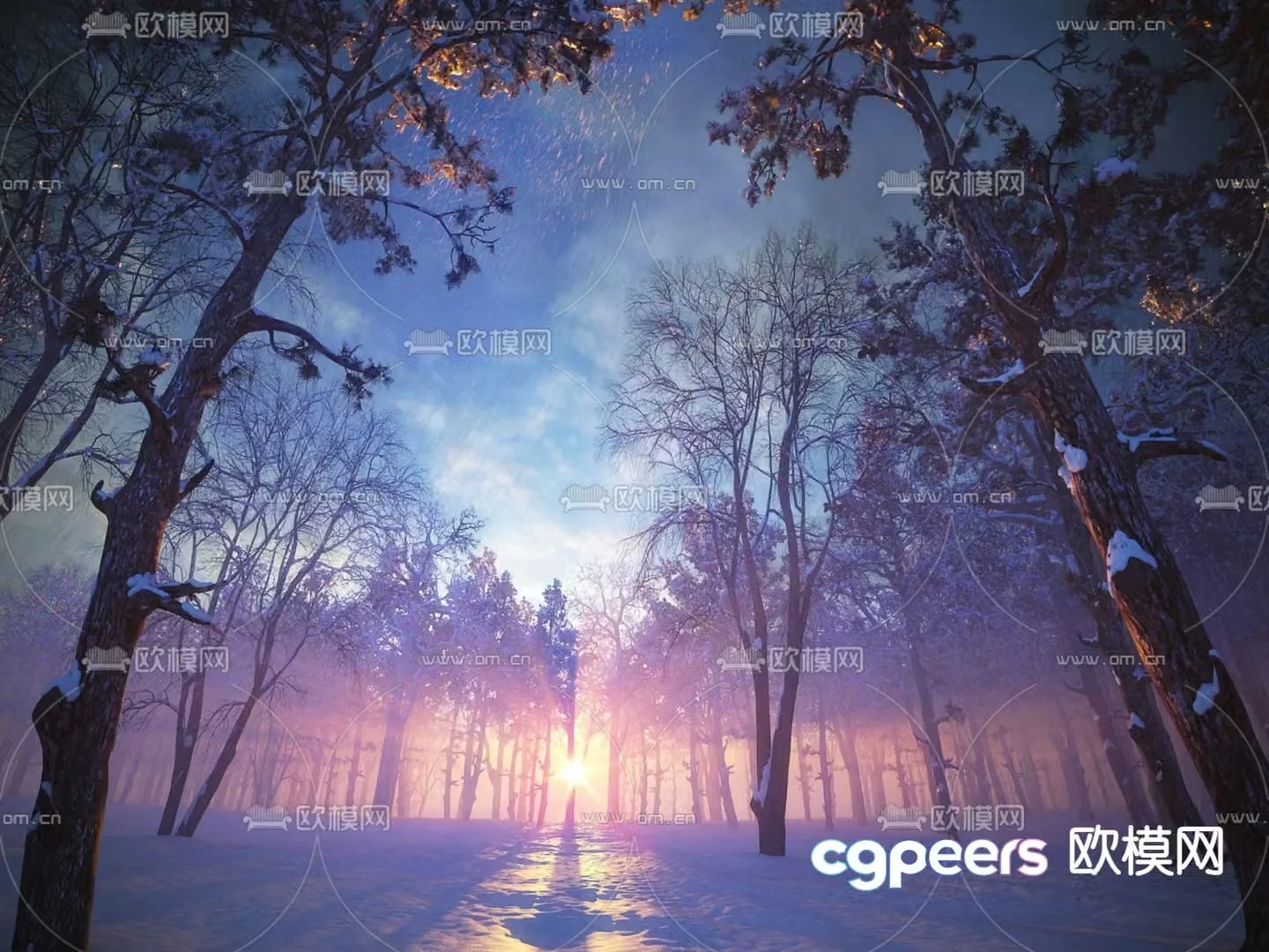 Winter forest snowy woods 3d model