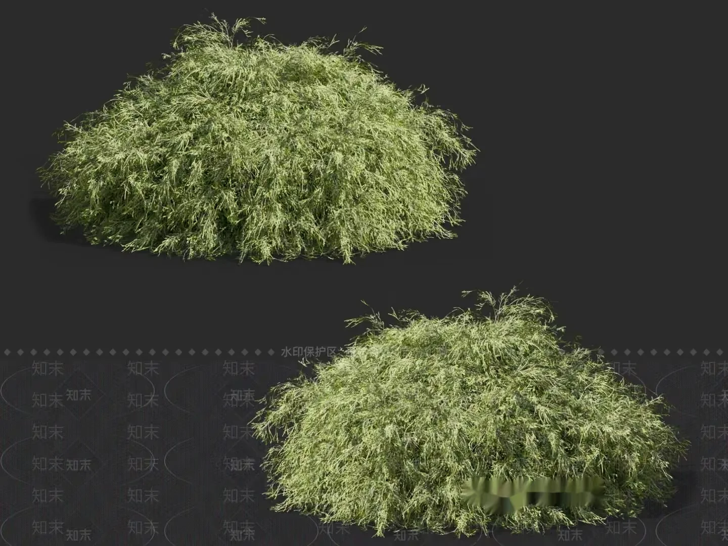 Green Bushy Plants 3D Model – 14697 – VRAY Render