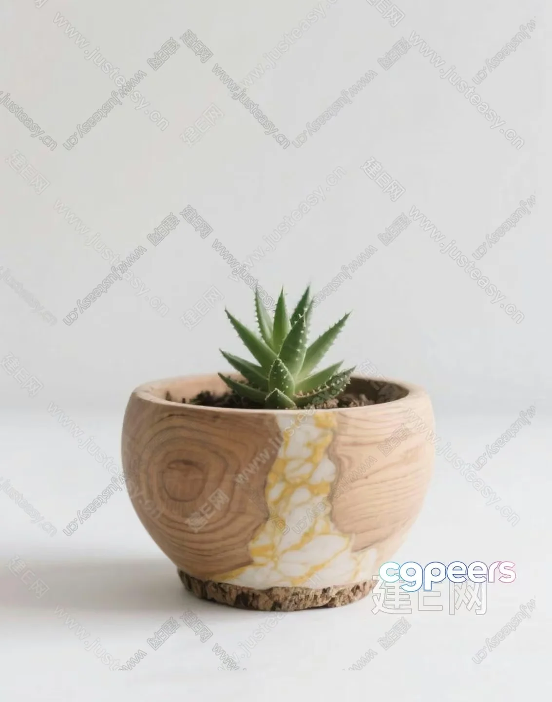 A Small Succulent Plant In A Wooden Pot 3D Model – 562 – VRAY Render