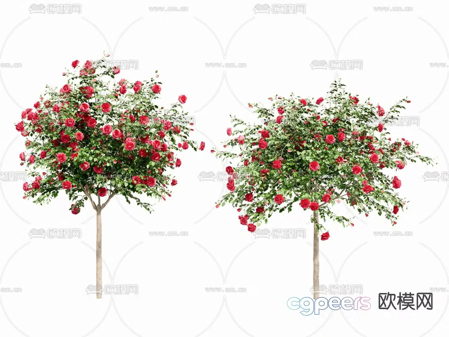 Plant Landscape Trees Red Flowers 3D Model