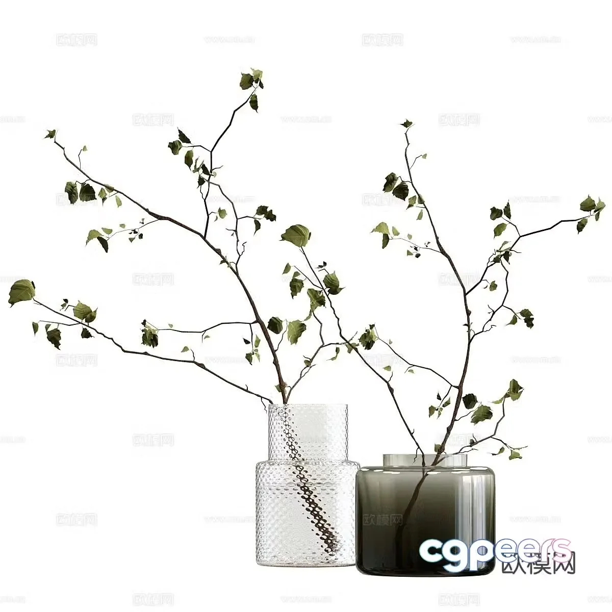 Aquatic plants floral ornaments 3d model