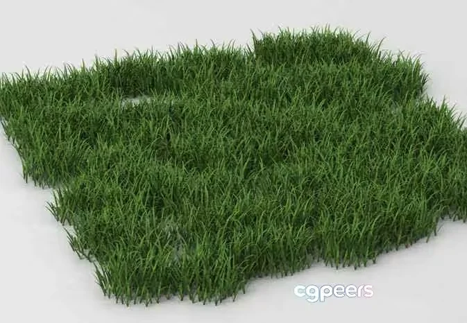 Green Grass Patch 3D Model – 6789 – VRAY Render