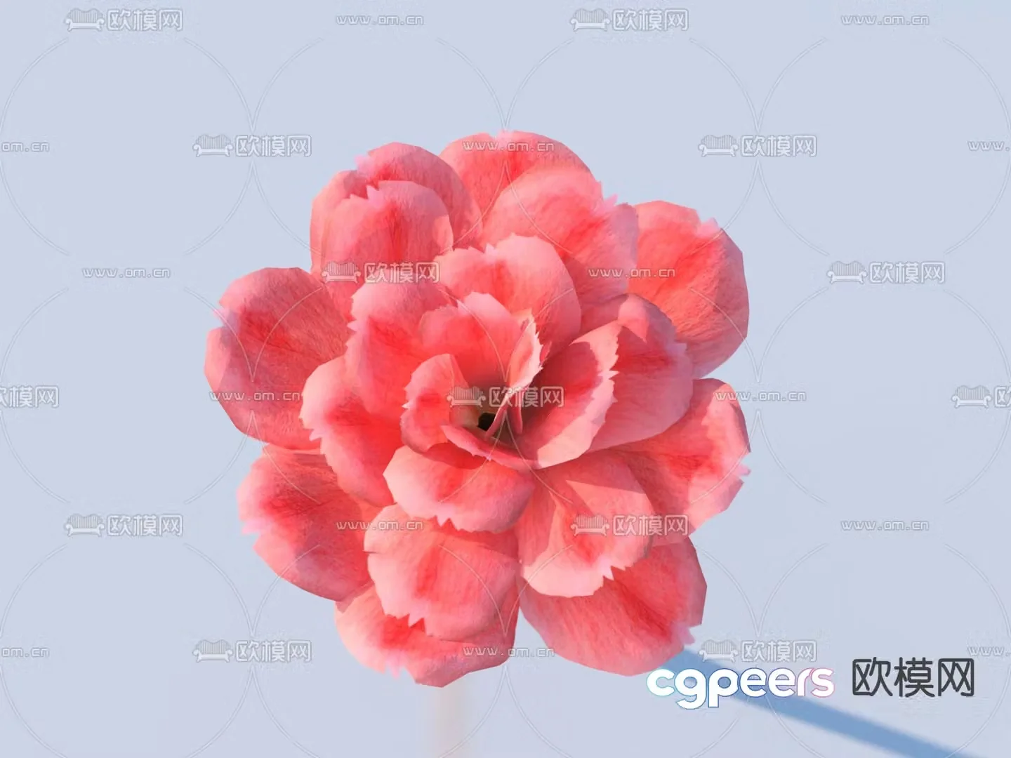 Flowers Wild Flowers 3d Model