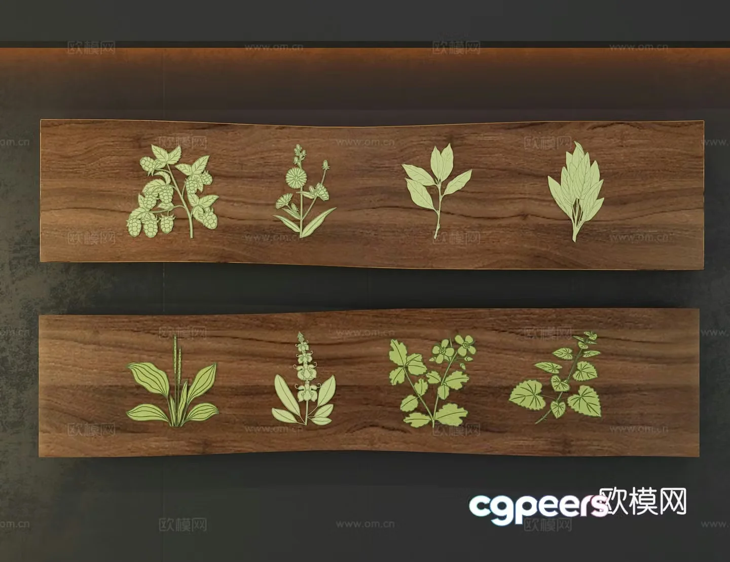 Plant specimens 3D model