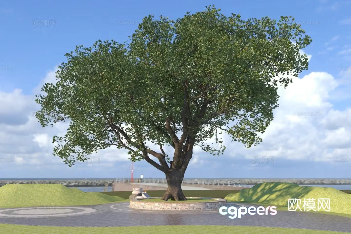 Modern century-old ancient tree 3D model