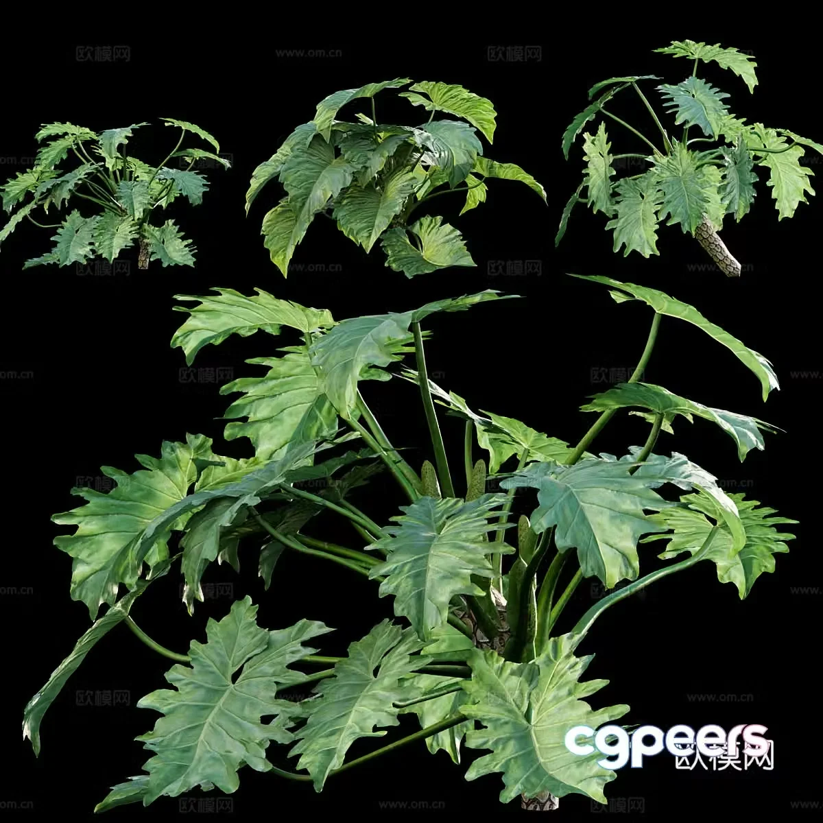 Bryoplant 3d model