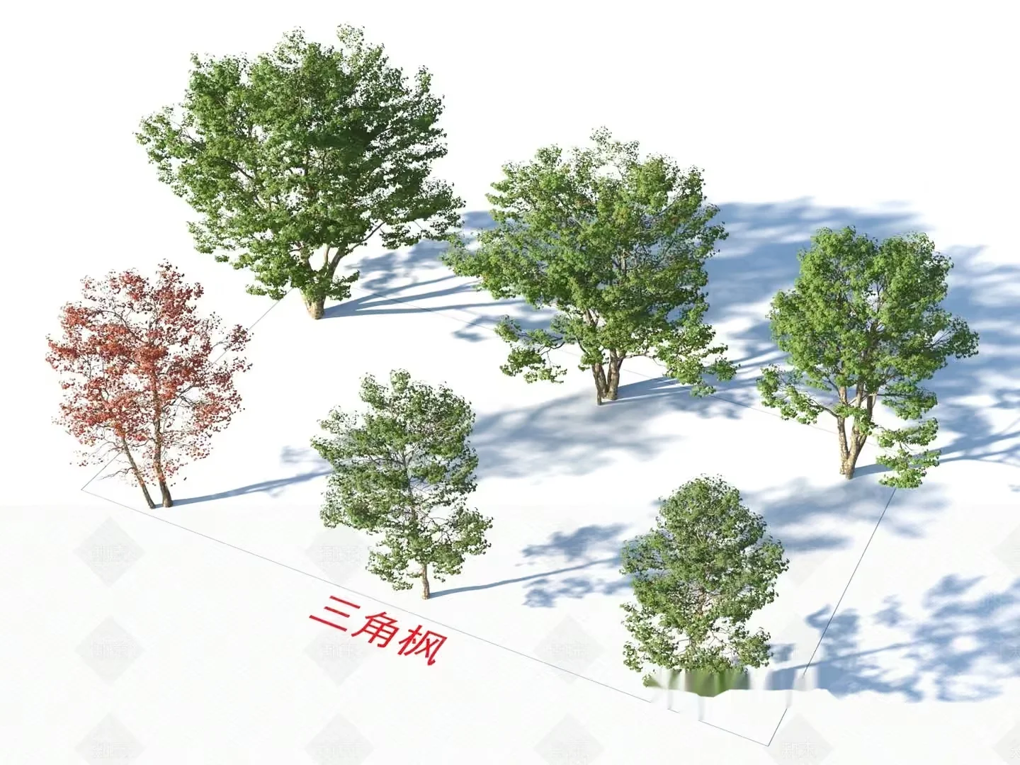 A Collection Of Trees With Varying Colors And Sizes 3D Model – 4116 – VRAY Render