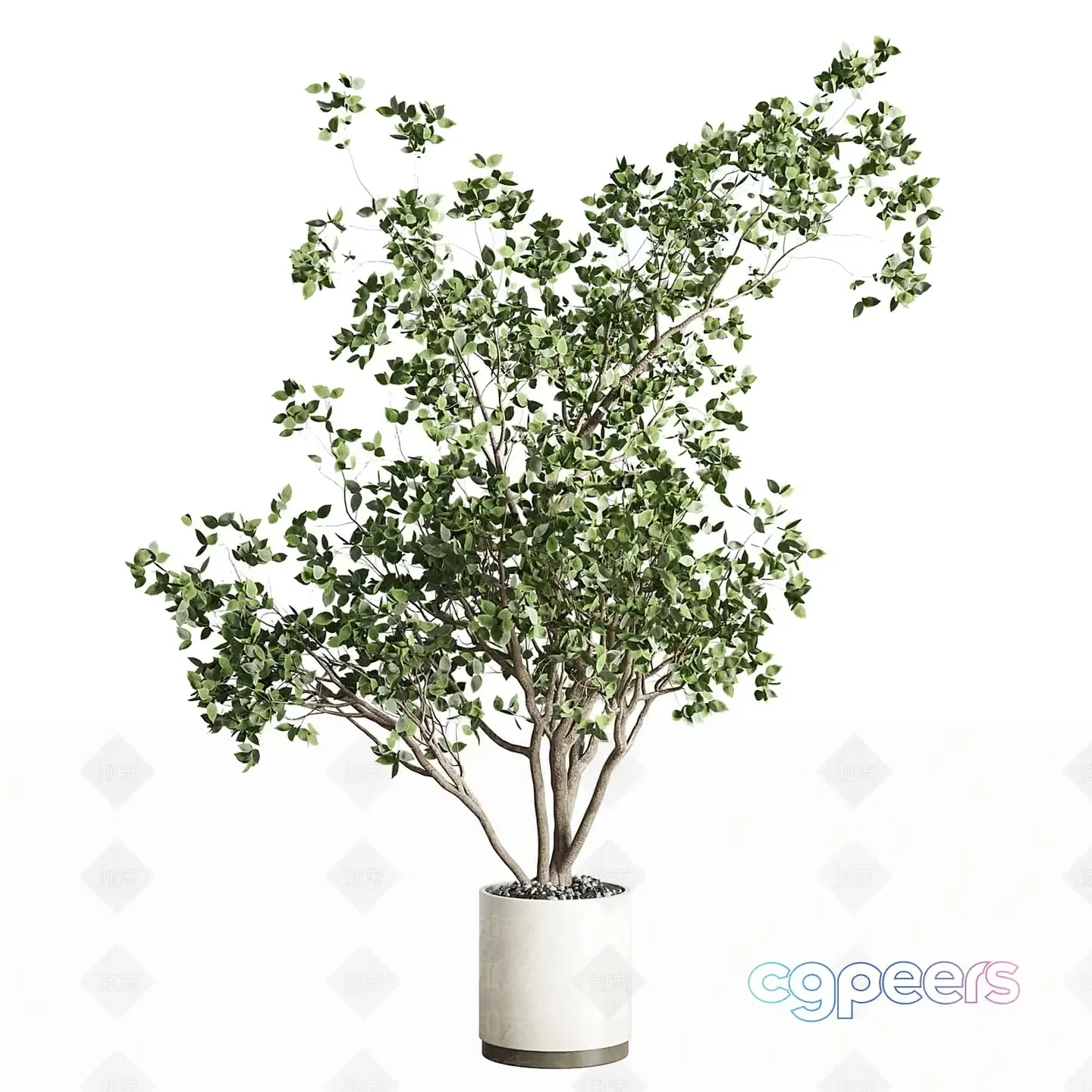 A Potted Plant 3D Model – 3174 – VRAY Render
