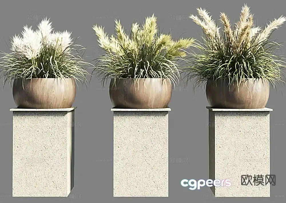 Plants Green Plants Pot Plants 3D Model