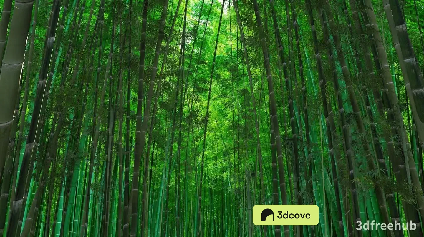A Bamboo Forest With Green Stalks