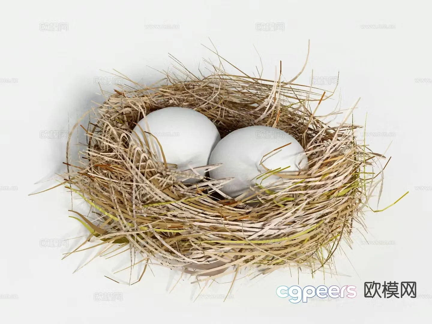 bird nest bird egg egg 3d model
