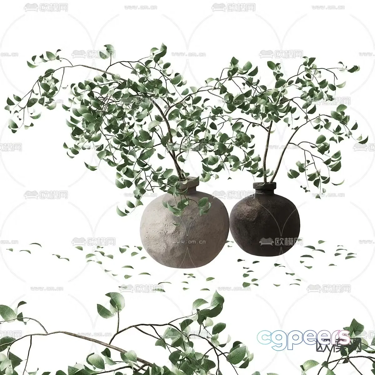 Modern green plant potted 3D model