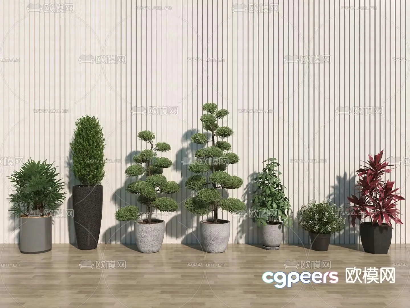 Potted Plant Flower Pot Plant Bonsai 3D Model