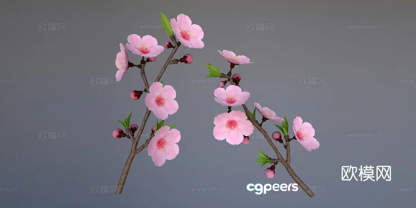 Peach blossom Peach tree 3d model
