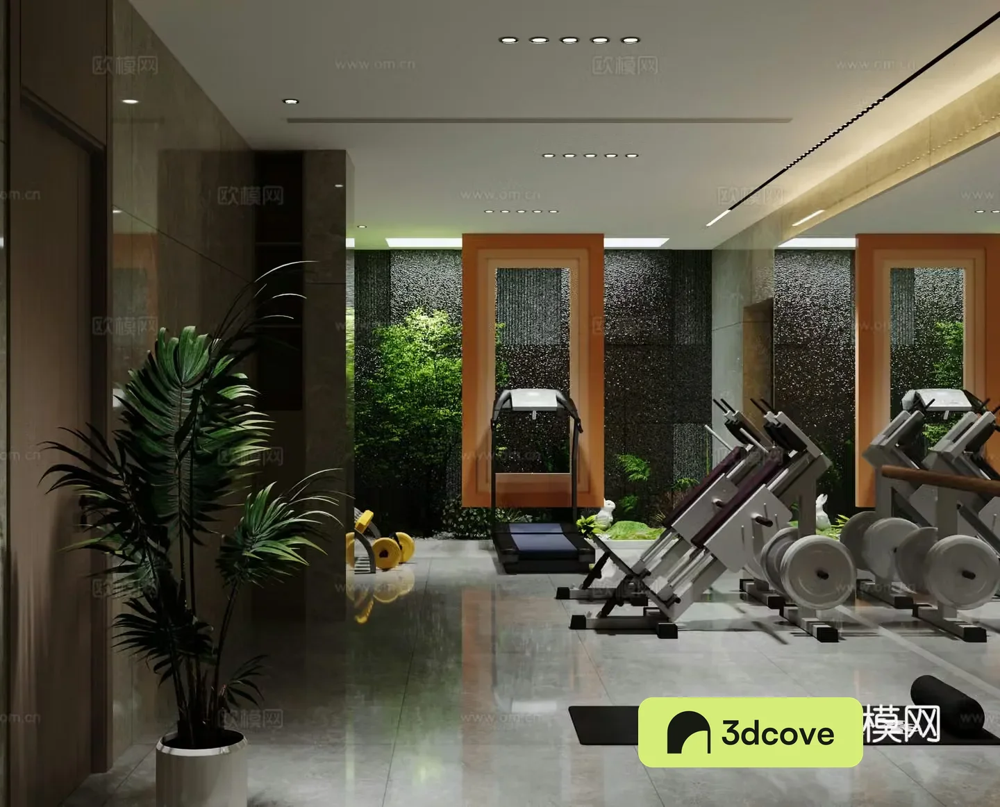 Modern gym