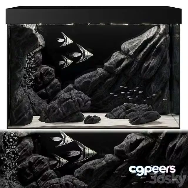 3ds Max Free – Aquarium black