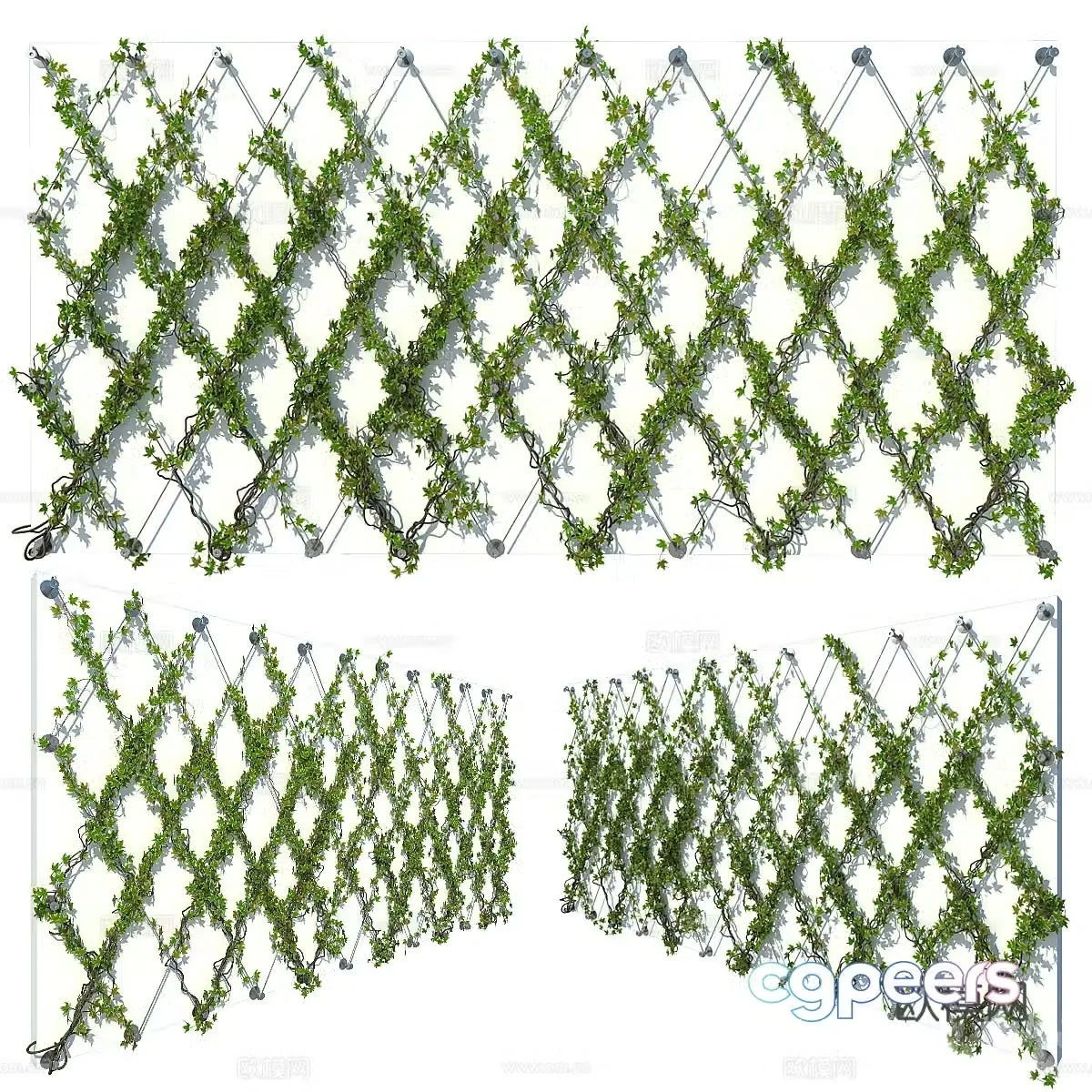 Plant wall fence 3d model