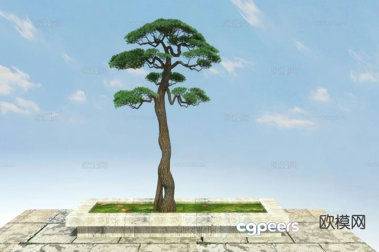 New Chinese style pine tree 3d model